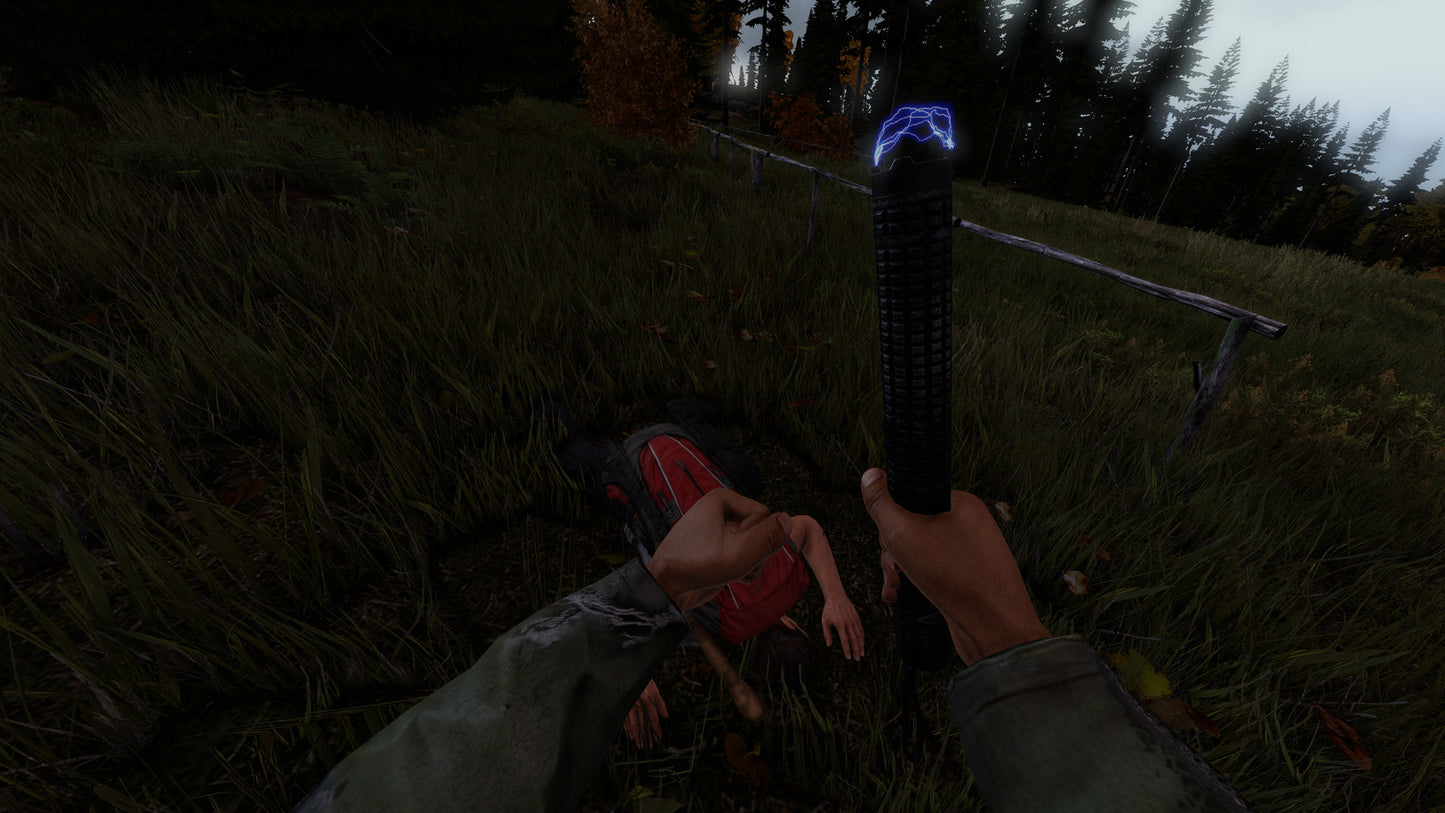 DayZ | Deluxe Edition (PC) - Steam Klíč