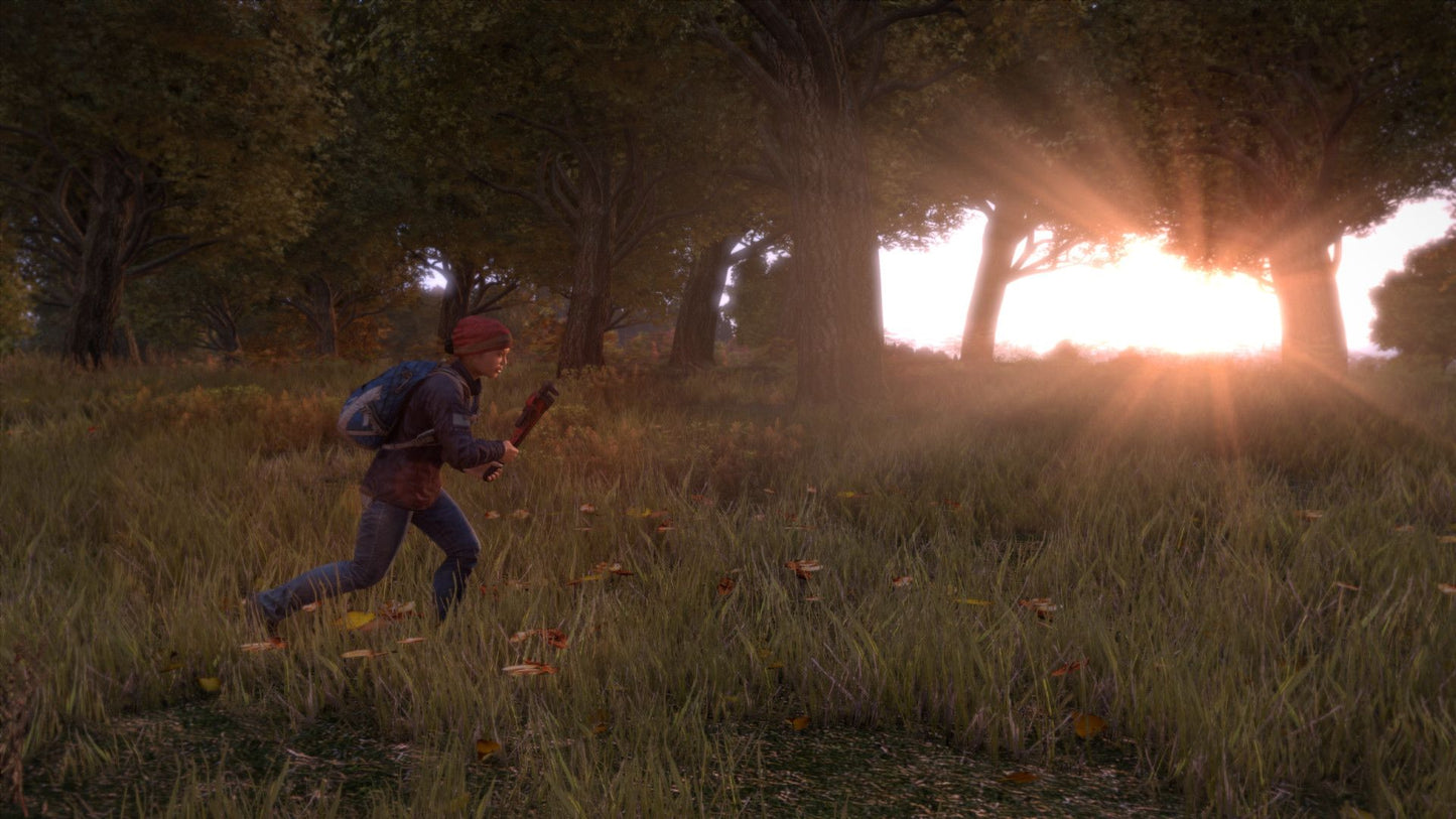 DayZ Steam Klíč