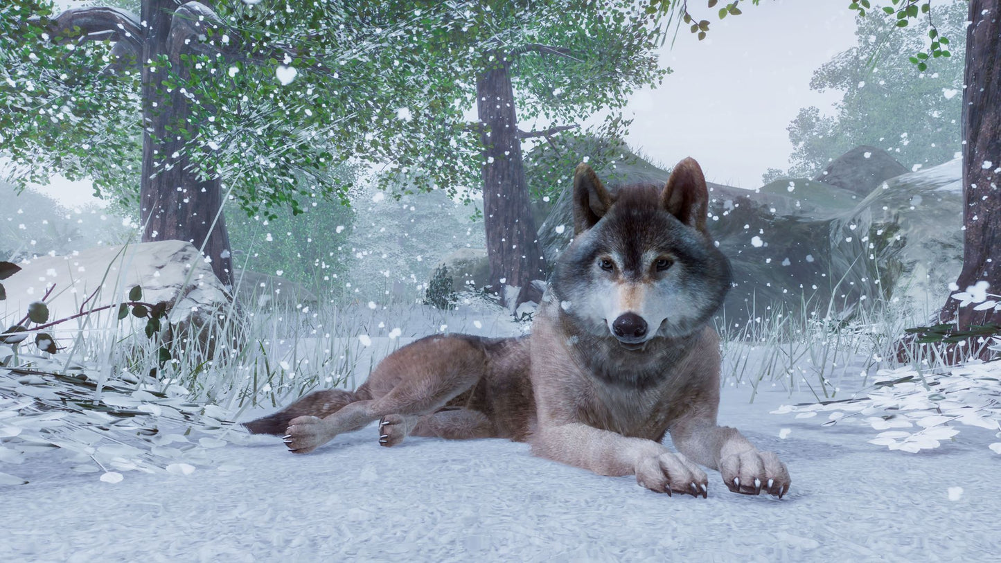 Planet Zoo Steam Klíč