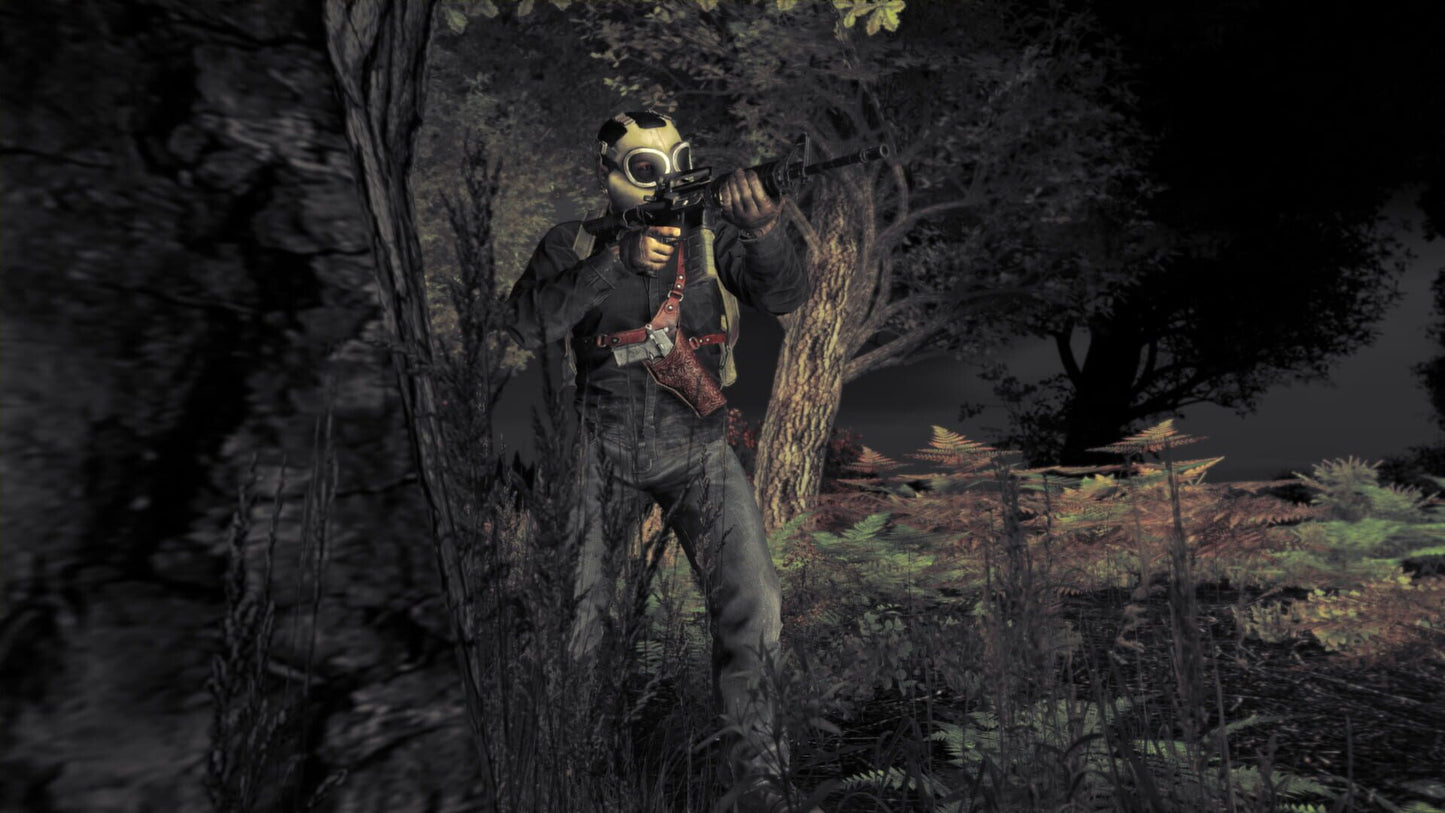 IGDB screenshot: DayZ (3)