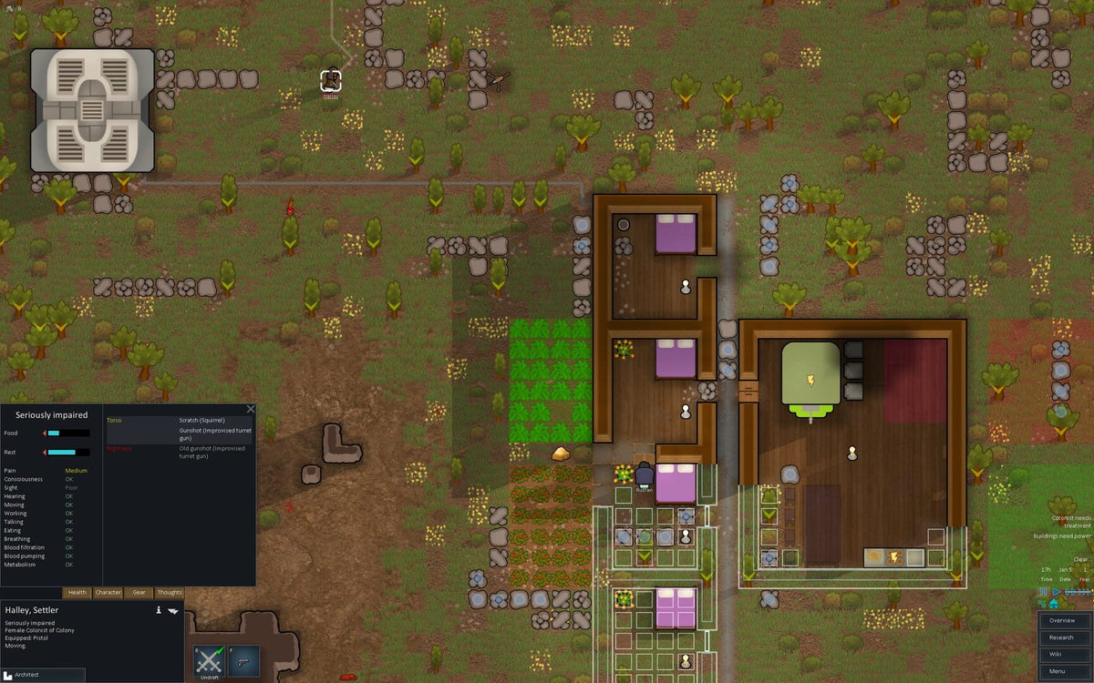 RimWorld (PC) - Steam Klíč – herní záběr (1)