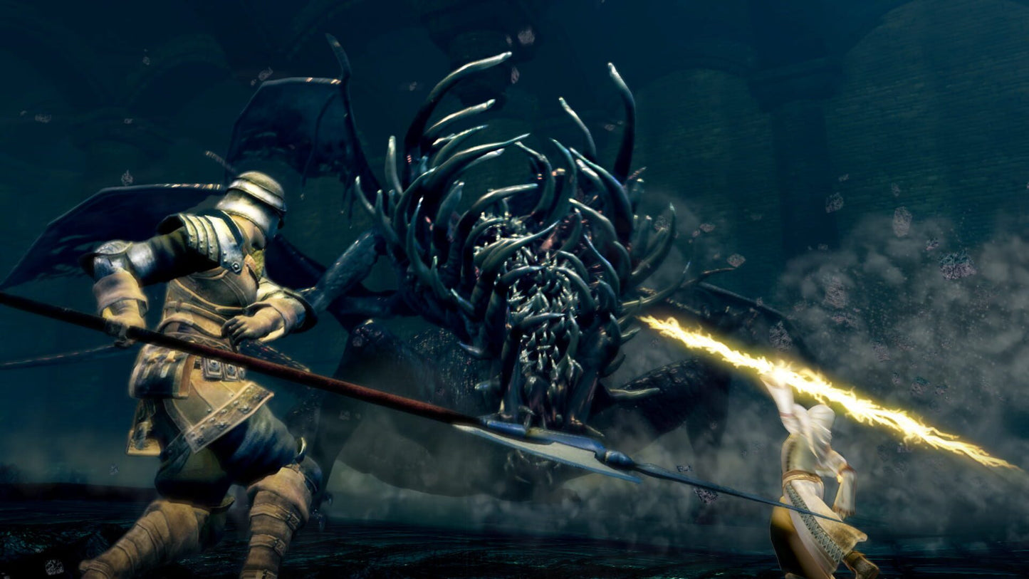 Dark Souls: Remastered (PC) - Steam Klíč – herní záběr (2)