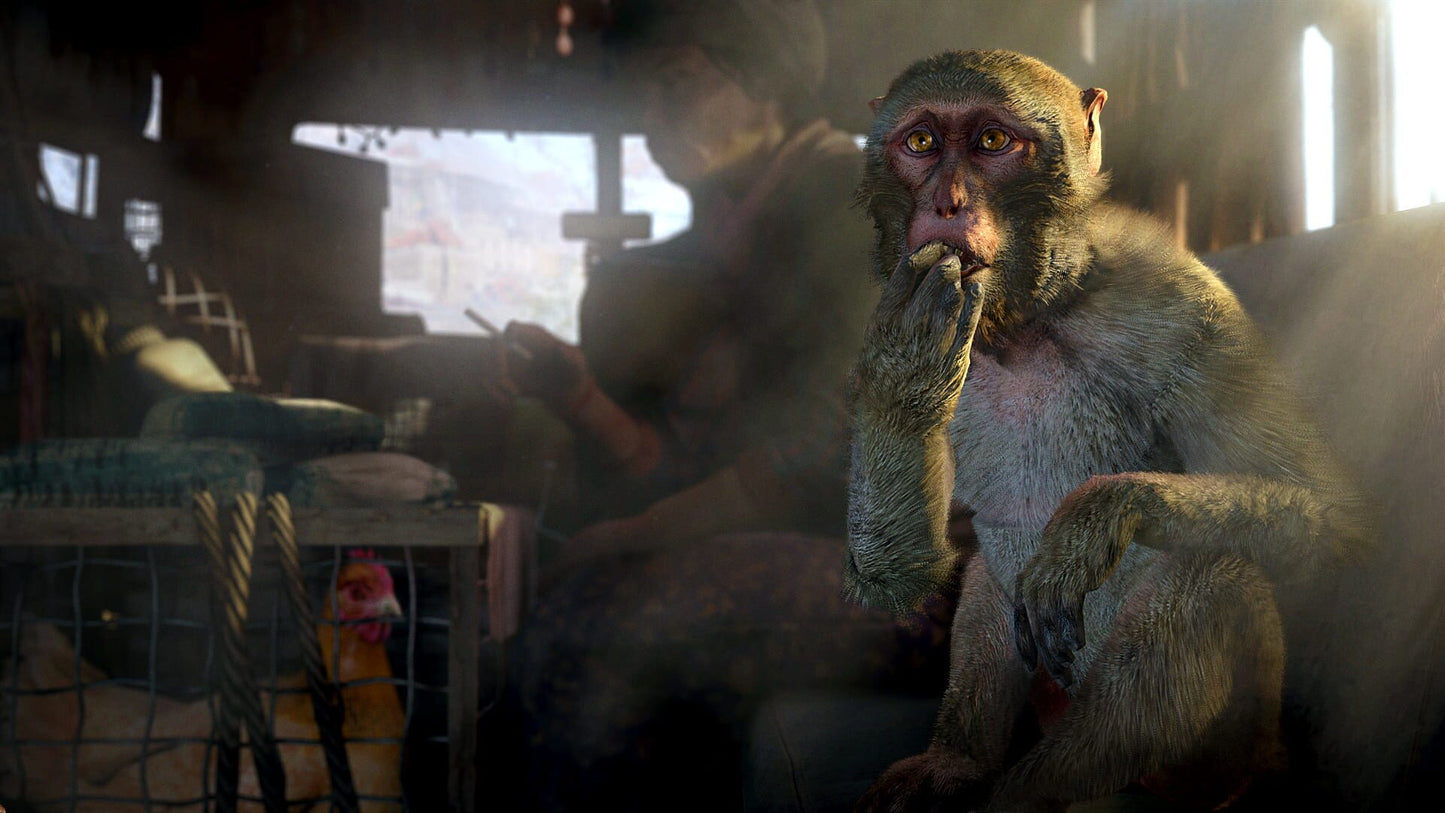 IGDB screenshot: Far Cry 4 (5)