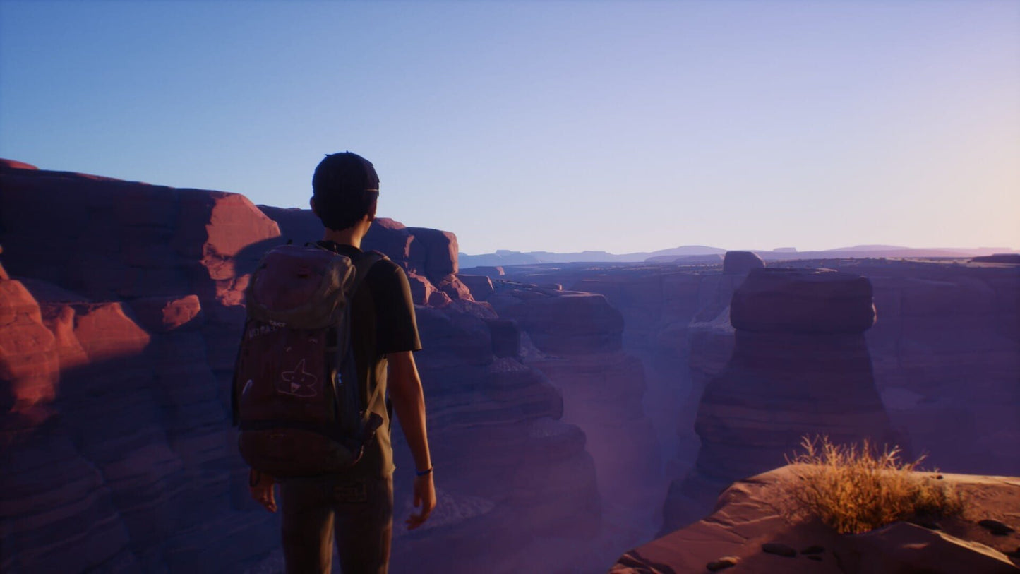 IGDB screenshot: Life Is Strange 2 (6)