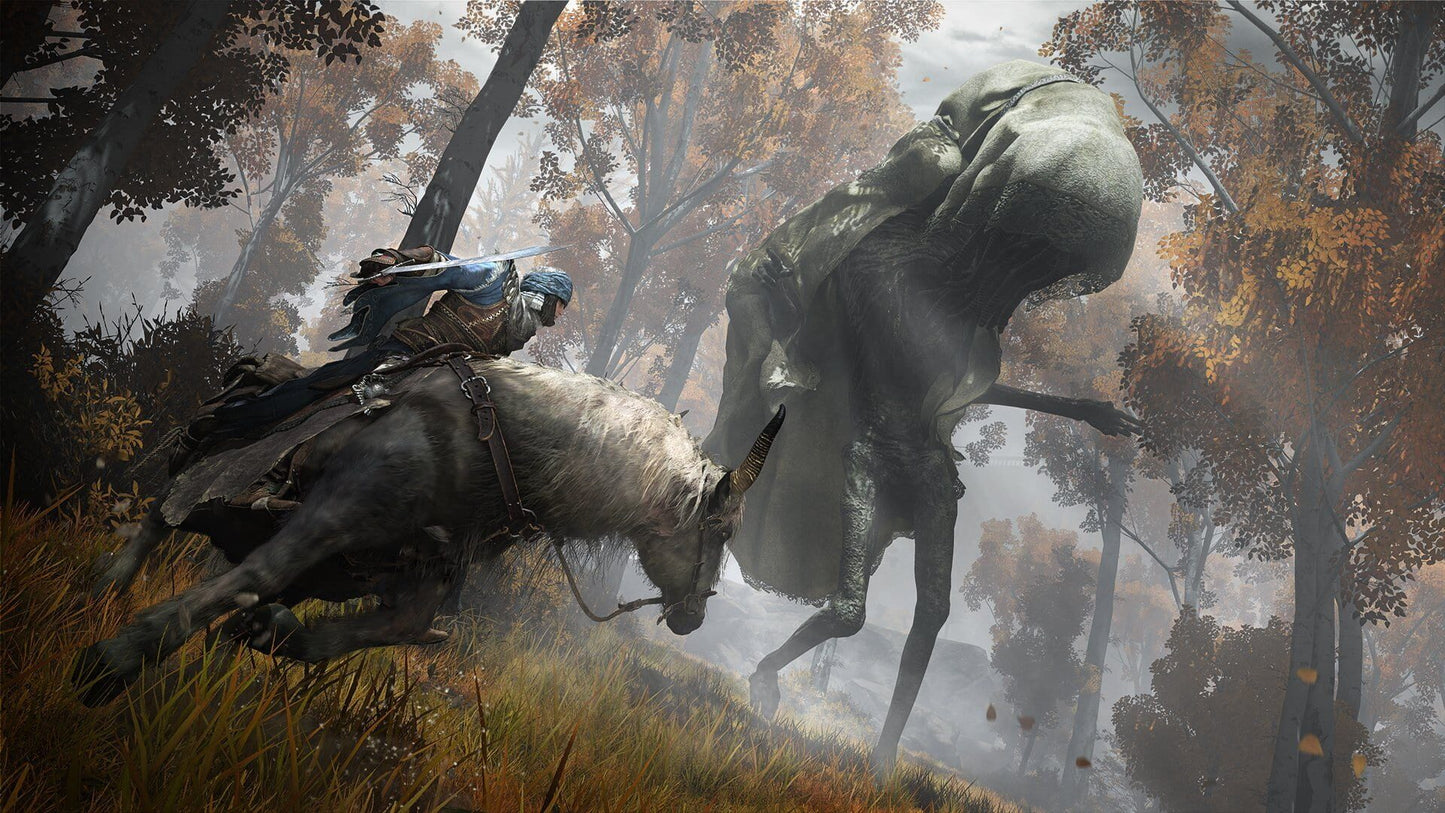 IGDB screenshot: Elden Ring (5)