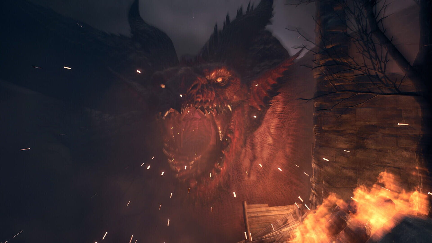 IGDB screenshot: Dragon's Dogma II (2)