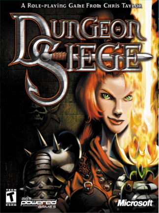 Dungeon Siege (PC) - Steam Klíč – Steam klíč