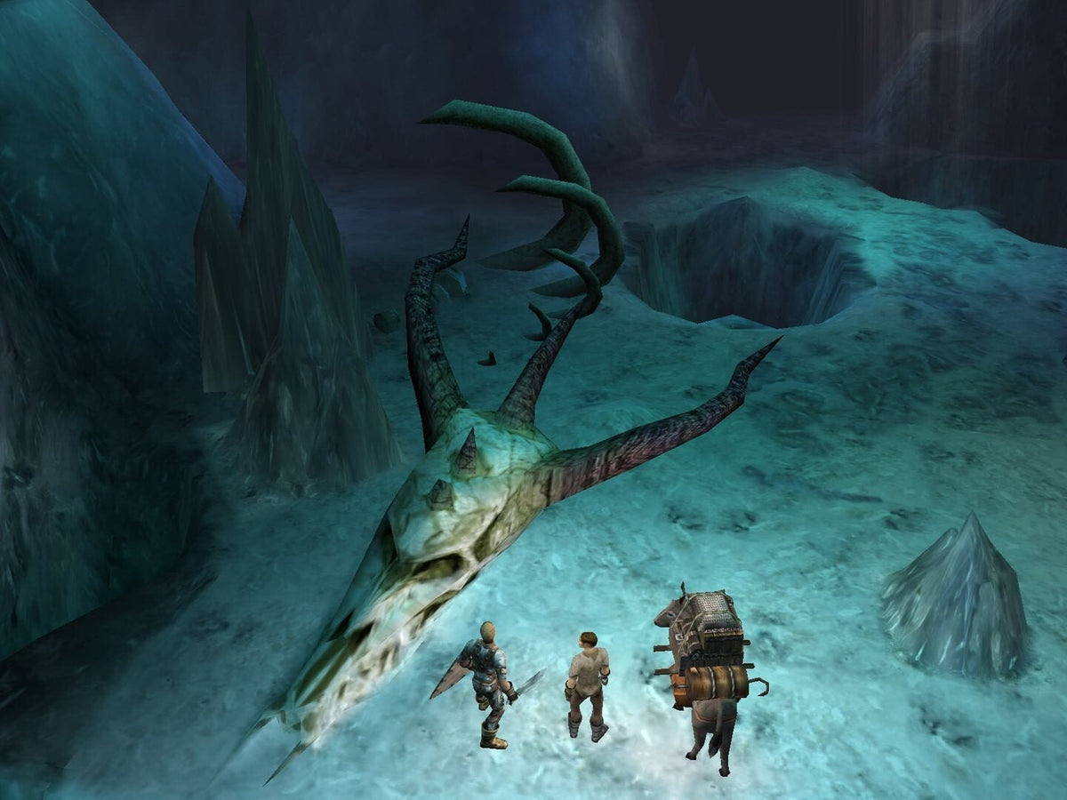 Dungeon Siege (PC) - Steam Klíč – herní záběr (2)