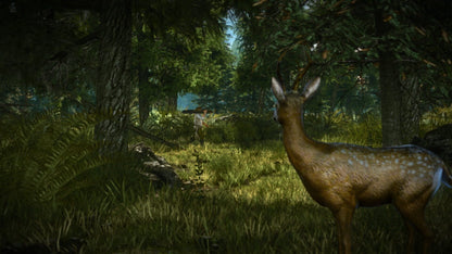 IGDB screenshot: The Witcher 2: Assassins of Kings - Enhanced Edition (3)