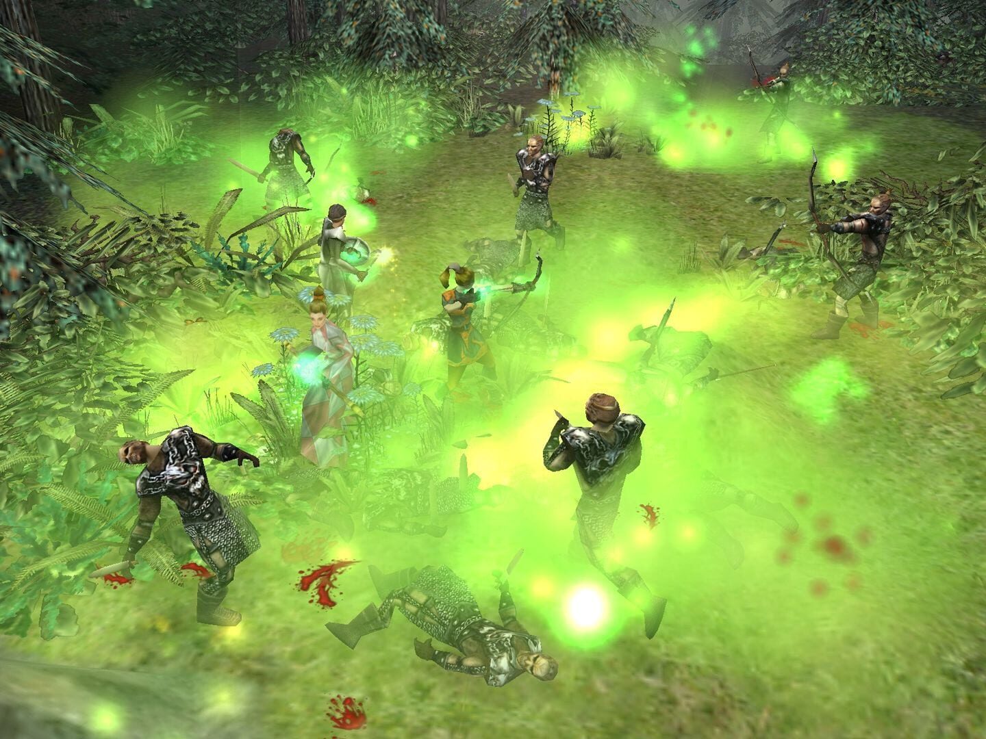 Dungeon Siege (PC) - Steam Klíč – herní záběr (5)