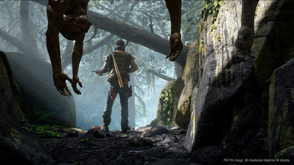 Days Gone (PC) - Steam Klíč – herní záběr (4)