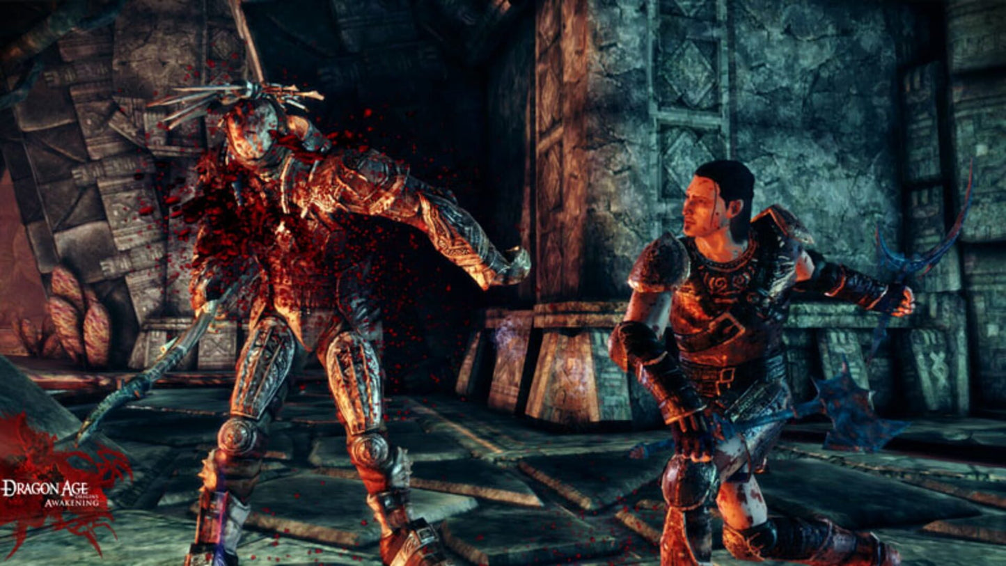 IGDB screenshot: Dragon Age: Origins - Awakening (3)
