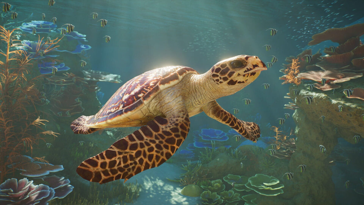Planet Zoo 2 (PC) - Steam Klíč – herní záběr (4)