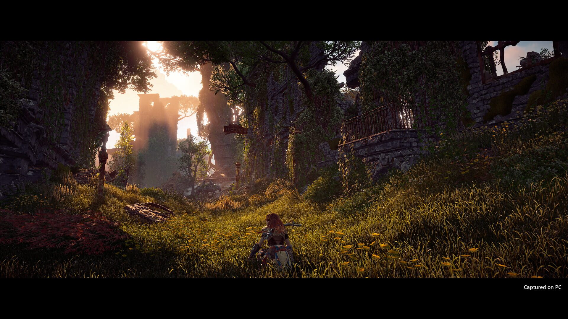 Horizon Zero Dawn | Complete Edition (PC) - Steam Klíč – herní záběr (2)
