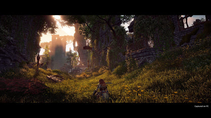 Horizon Zero Dawn | Complete Edition (PC) - Steam Klíč – herní záběr (2)