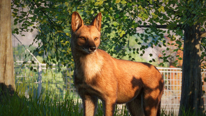 IGDB screenshot: Planet Zoo: Southeast Asia Animal Pack (5)