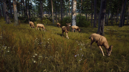 IGDB screenshot: Way of the Hunter (4)