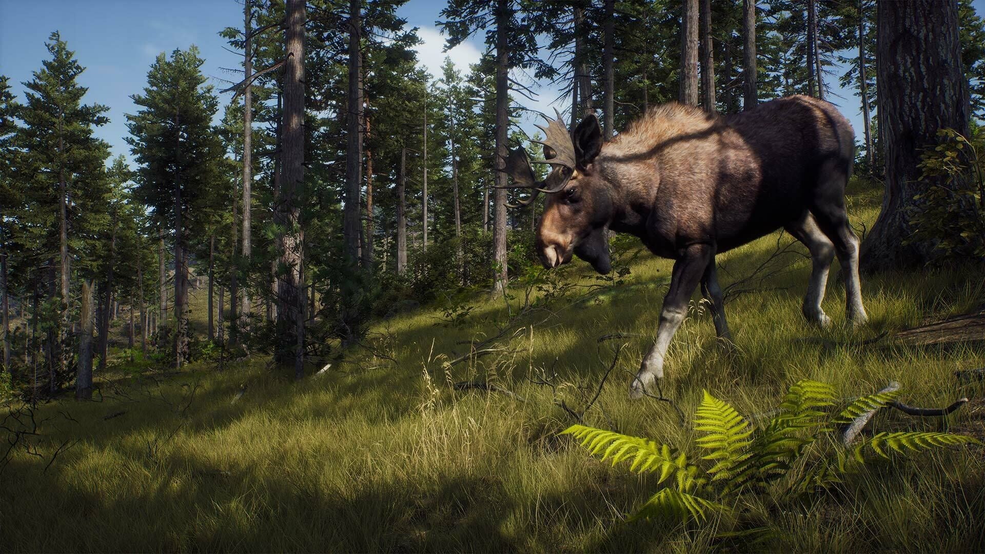 IGDB screenshot: Way of the Hunter: Elite Edition (1)