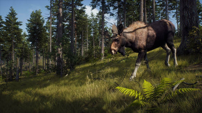 IGDB screenshot: Way of the Hunter: Elite Edition (1)