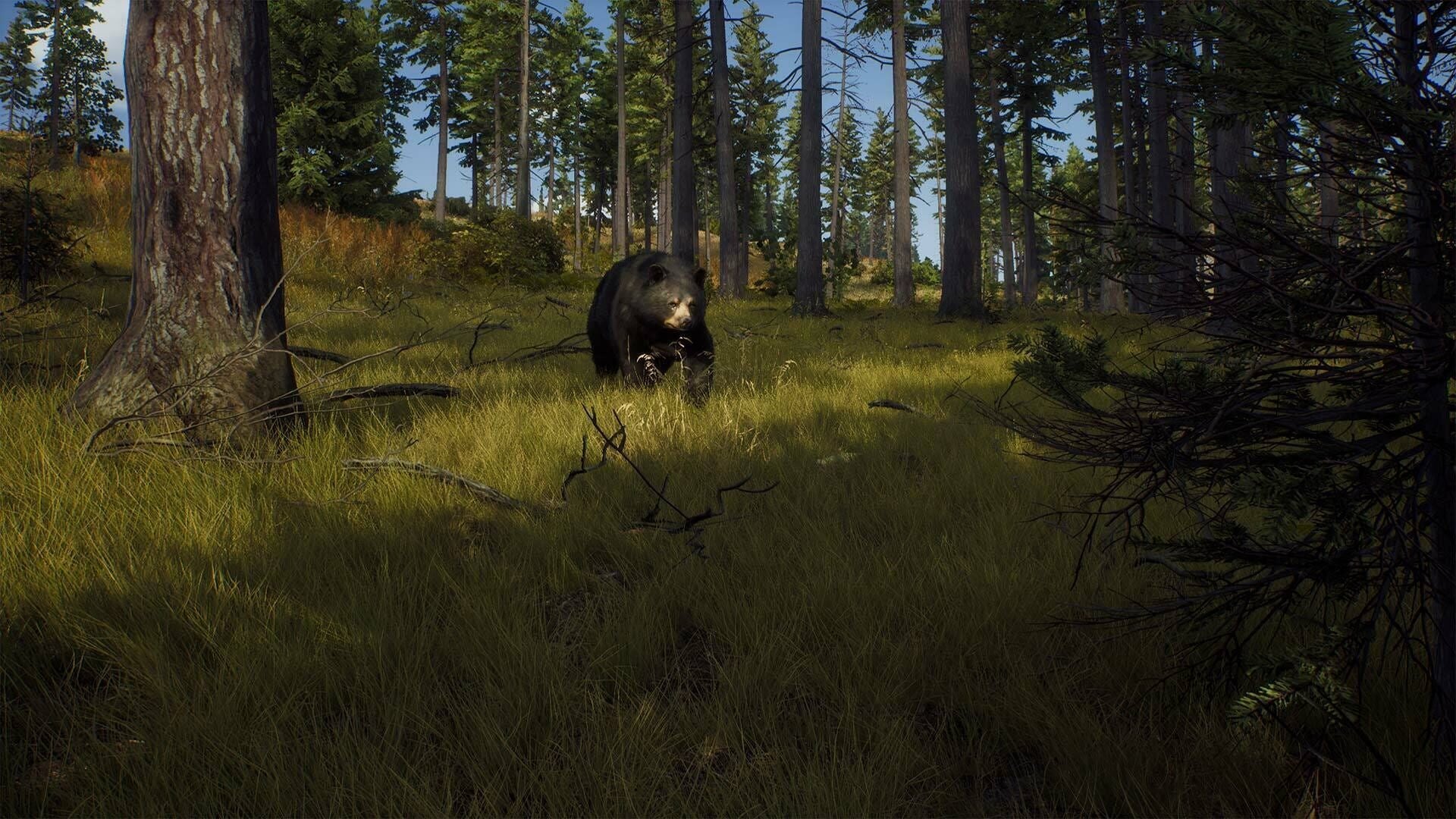 IGDB screenshot: Way of the Hunter: Elite Edition (5)