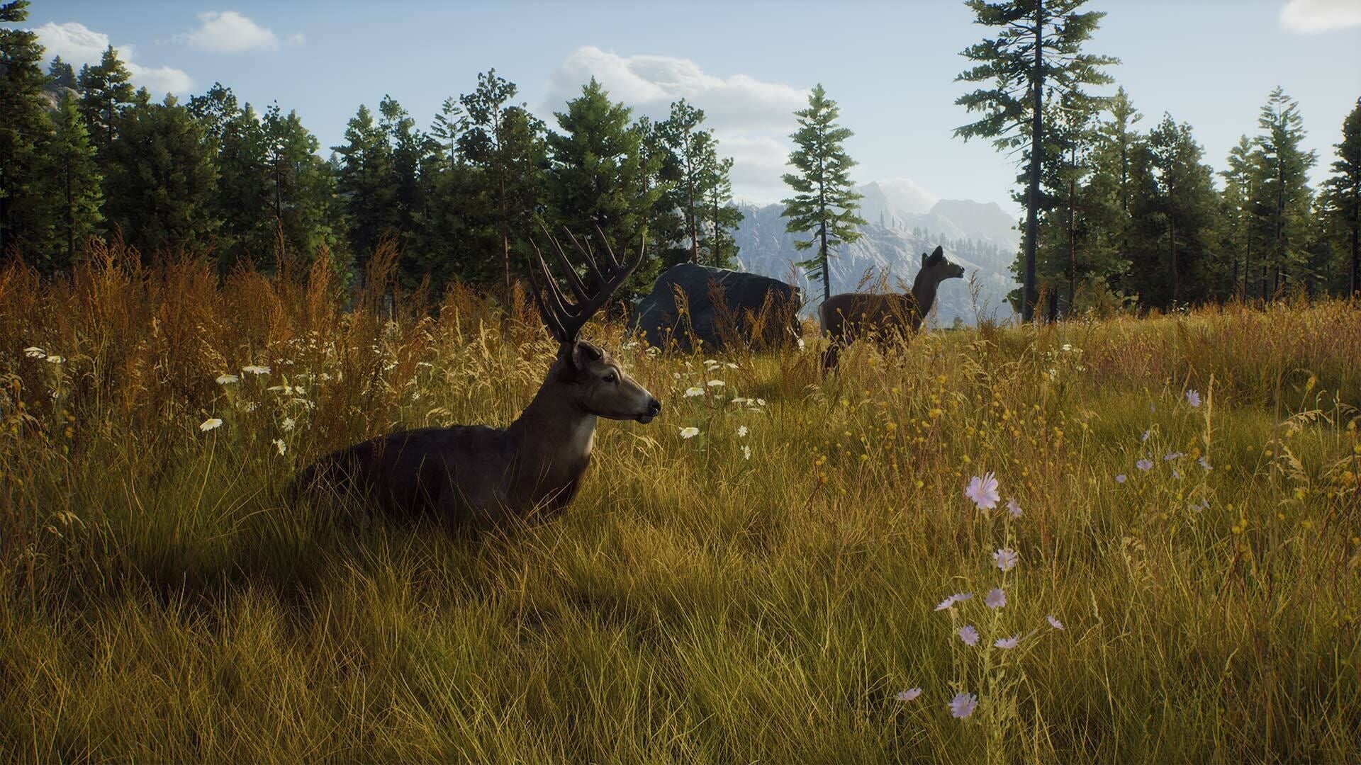 IGDB screenshot: Way of the Hunter: Elite Edition (6)
