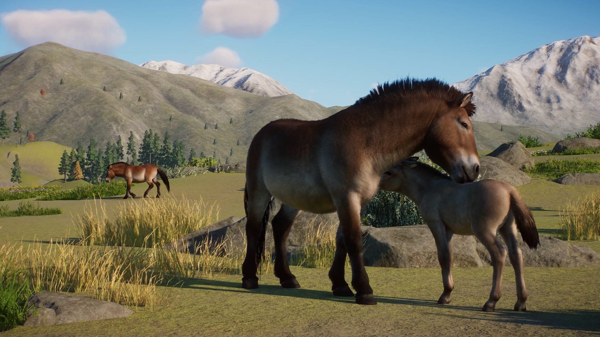IGDB screenshot: Planet Zoo: Conservation Pack (4)