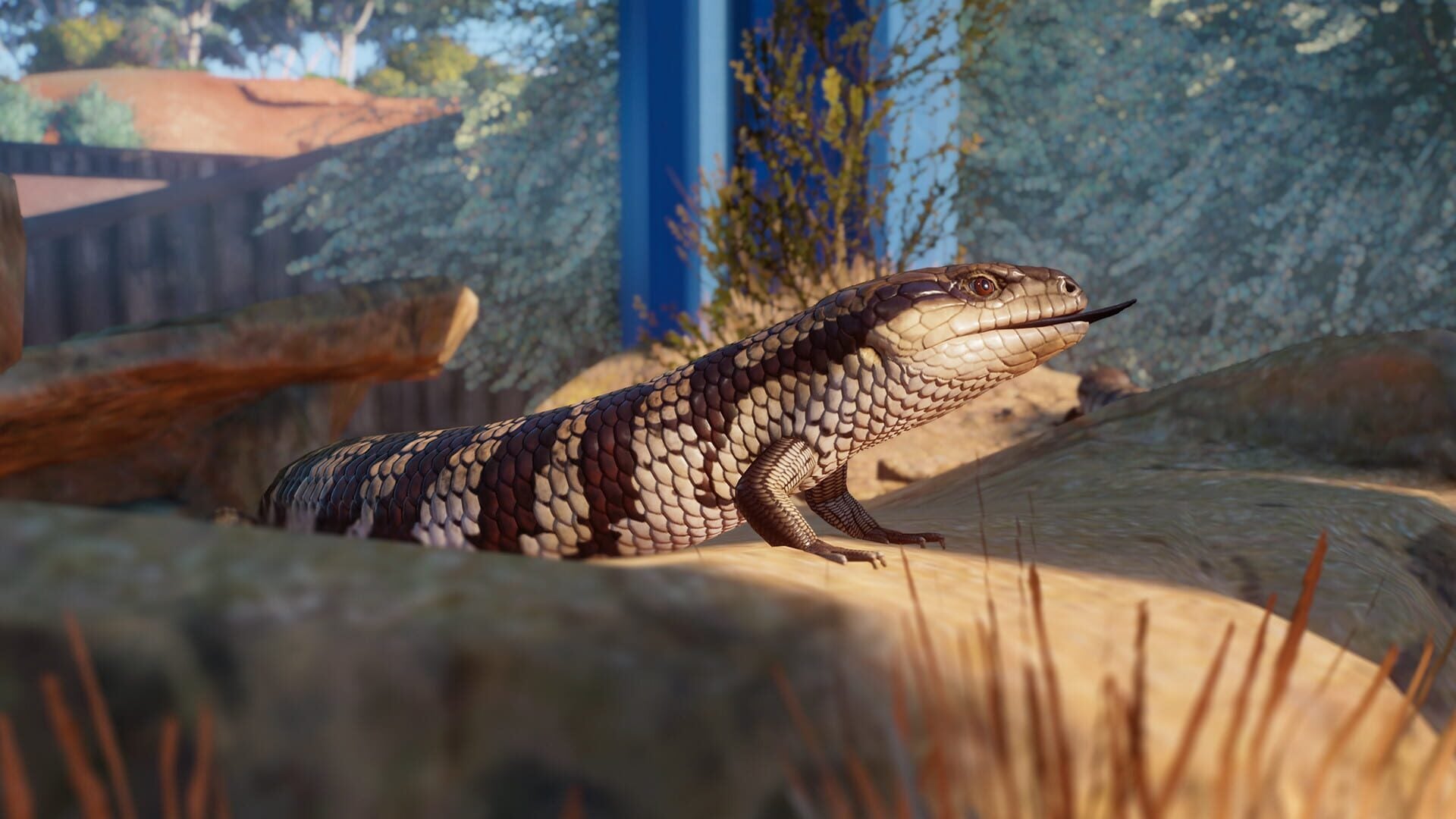 IGDB screenshot: Planet Zoo: Australia Pack (6)