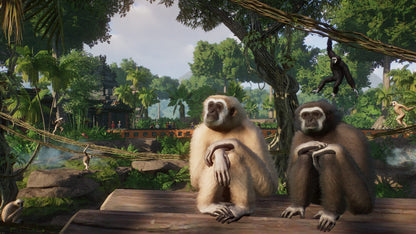 IGDB screenshot: Planet Zoo: Tropical Pack (4)
