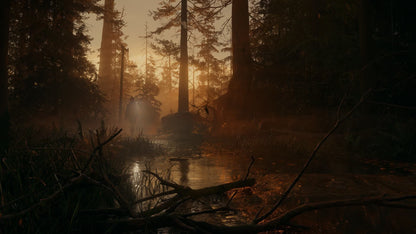 Alan Wake 2 - Xbox Series X/S – herní záběr (5)