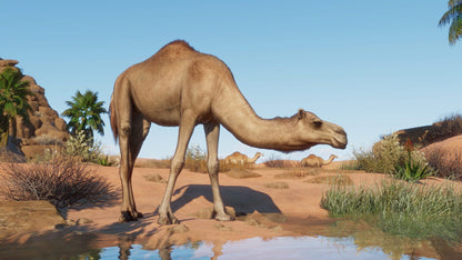 IGDB screenshot: Planet Zoo: Arid Animal Pack (3)