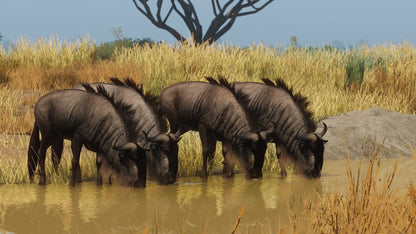 IGDB screenshot: Planet Zoo: Grasslands Animal Pack (2)