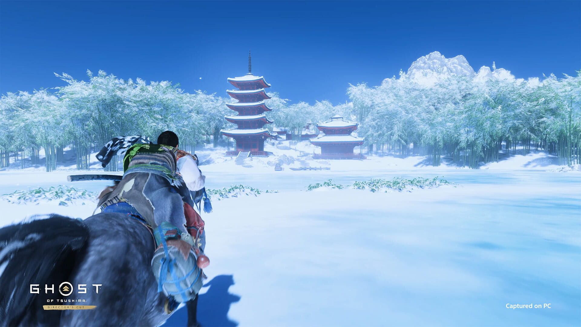 IGDB screenshot: Ghost of Tsushima: Director's Cut (5)