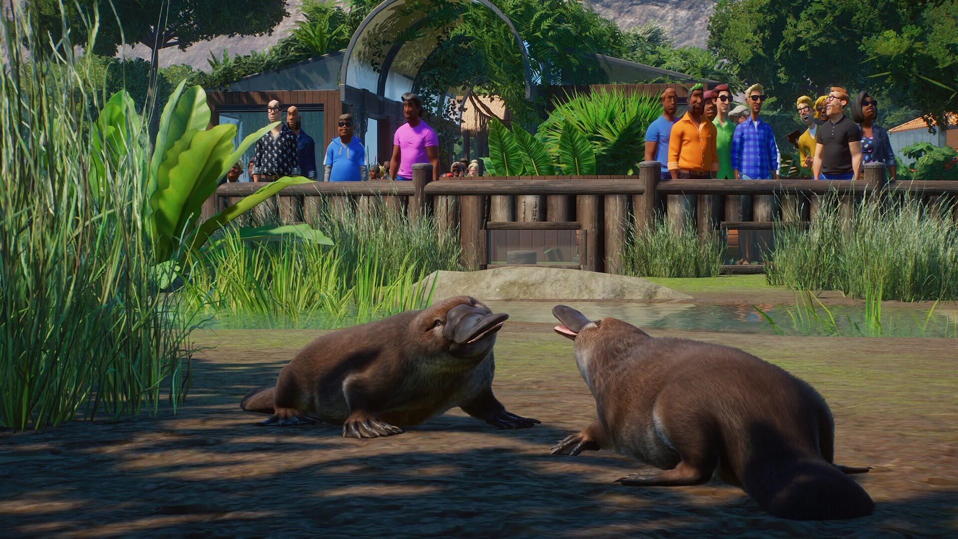 IGDB screenshot: Planet Zoo: Console Edition - Ultimate Edition (1)