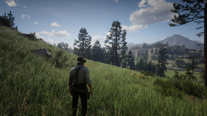 Red Dead Redemption 2 (Xbox) - Xbox Live – herní záběr (5)