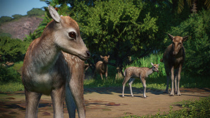 IGDB screenshot: Planet Zoo: Asia Animal Pack (3)