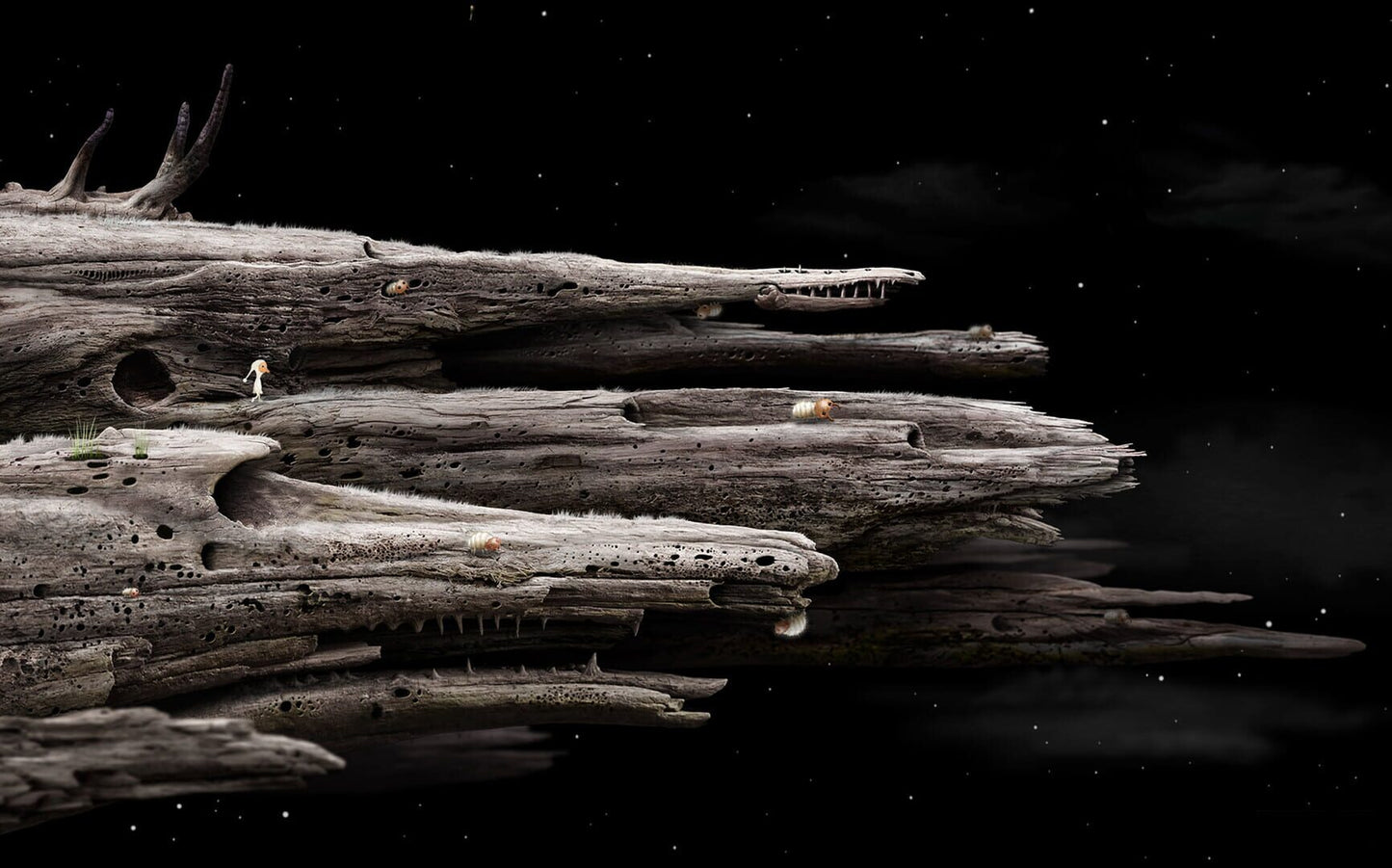 Samorost 3 Steam Klíč – herní záběr (4)